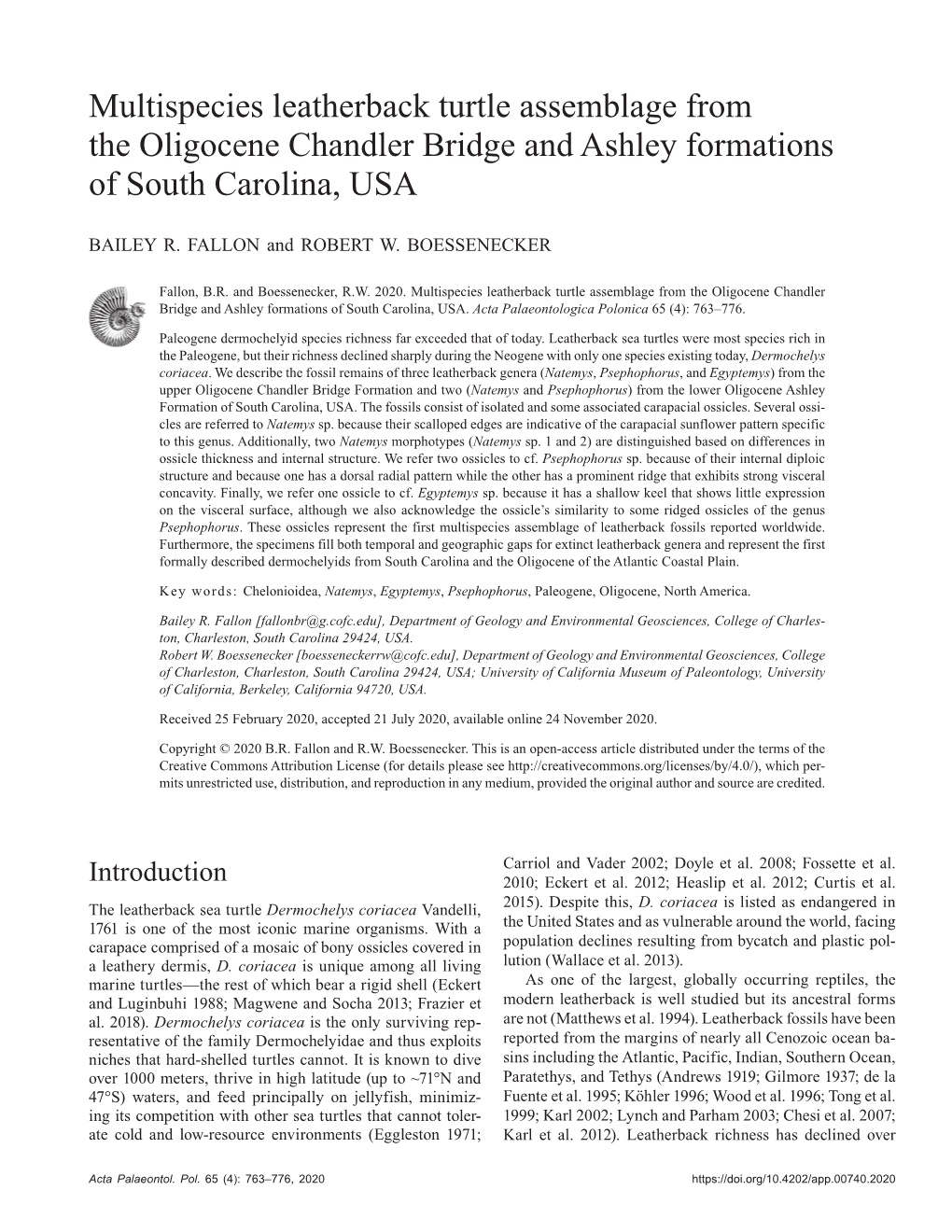 Multispecies Leatherback Turtle Assemblage from the Oligocene Chandler Bridge and Ashley Formations of South Carolina, USA