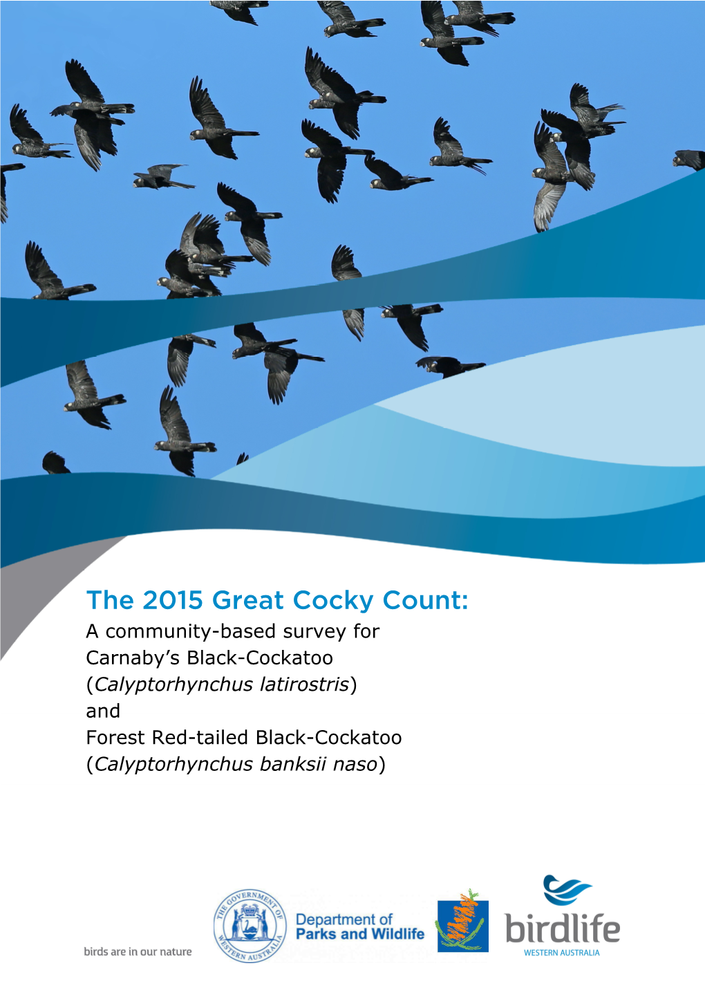 The 2015 Great Cocky Count