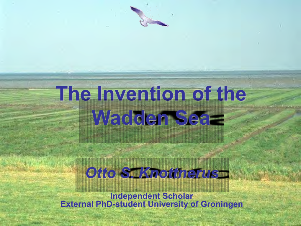 The Invention of the Wadden Sea