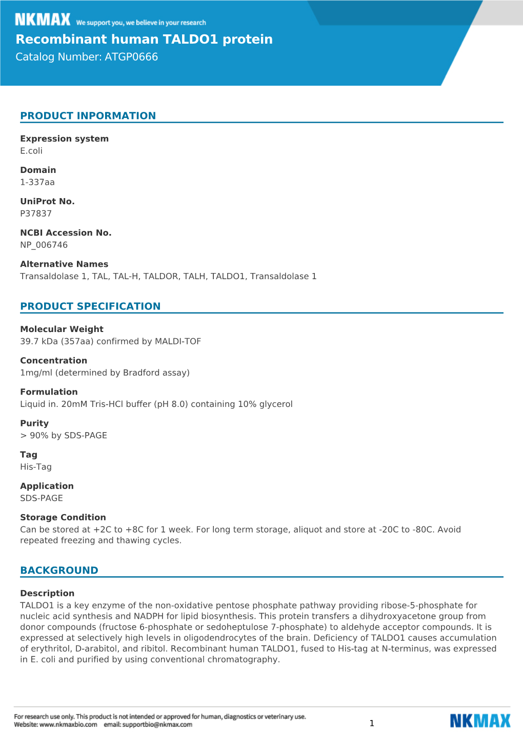 Recombinant Human TALDO1 Protein Catalog Number: ATGP0666