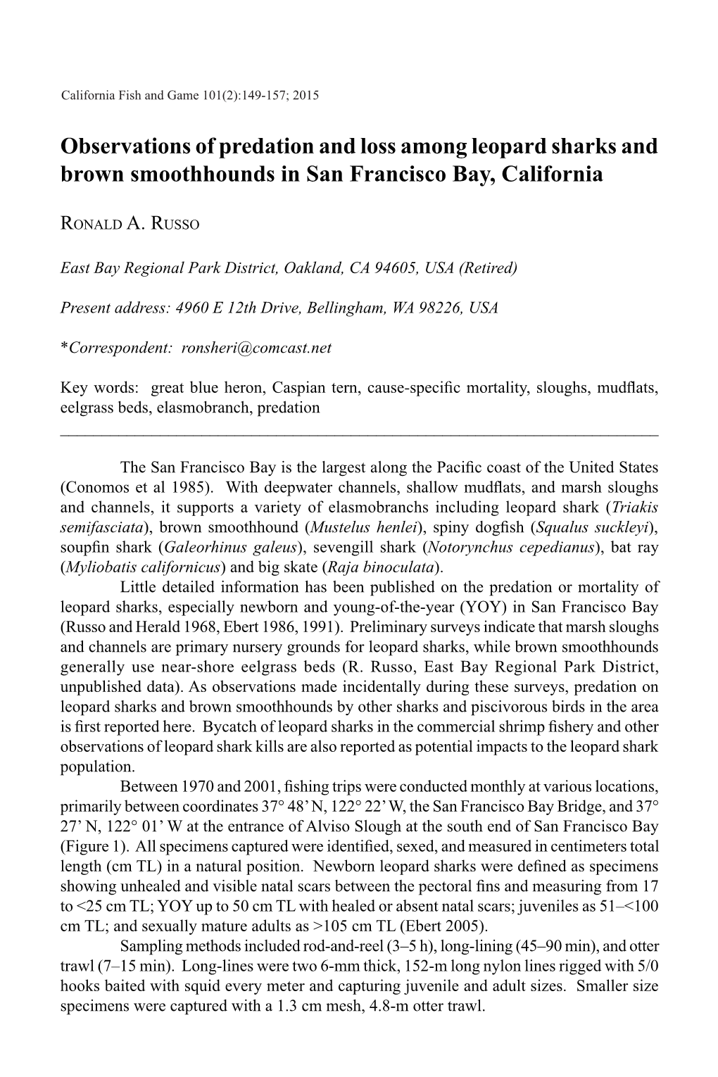 Observations of Predation and Loss Among Leopard Sharks and Brown Smoothhounds in San Francisco Bay, California