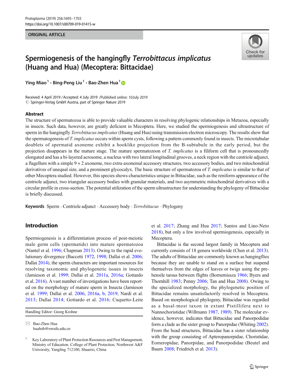 Spermiogenesis of the Hangingfly Terrobittacus Implicatus (Huang and Hua) (Mecoptera: Bittacidae)