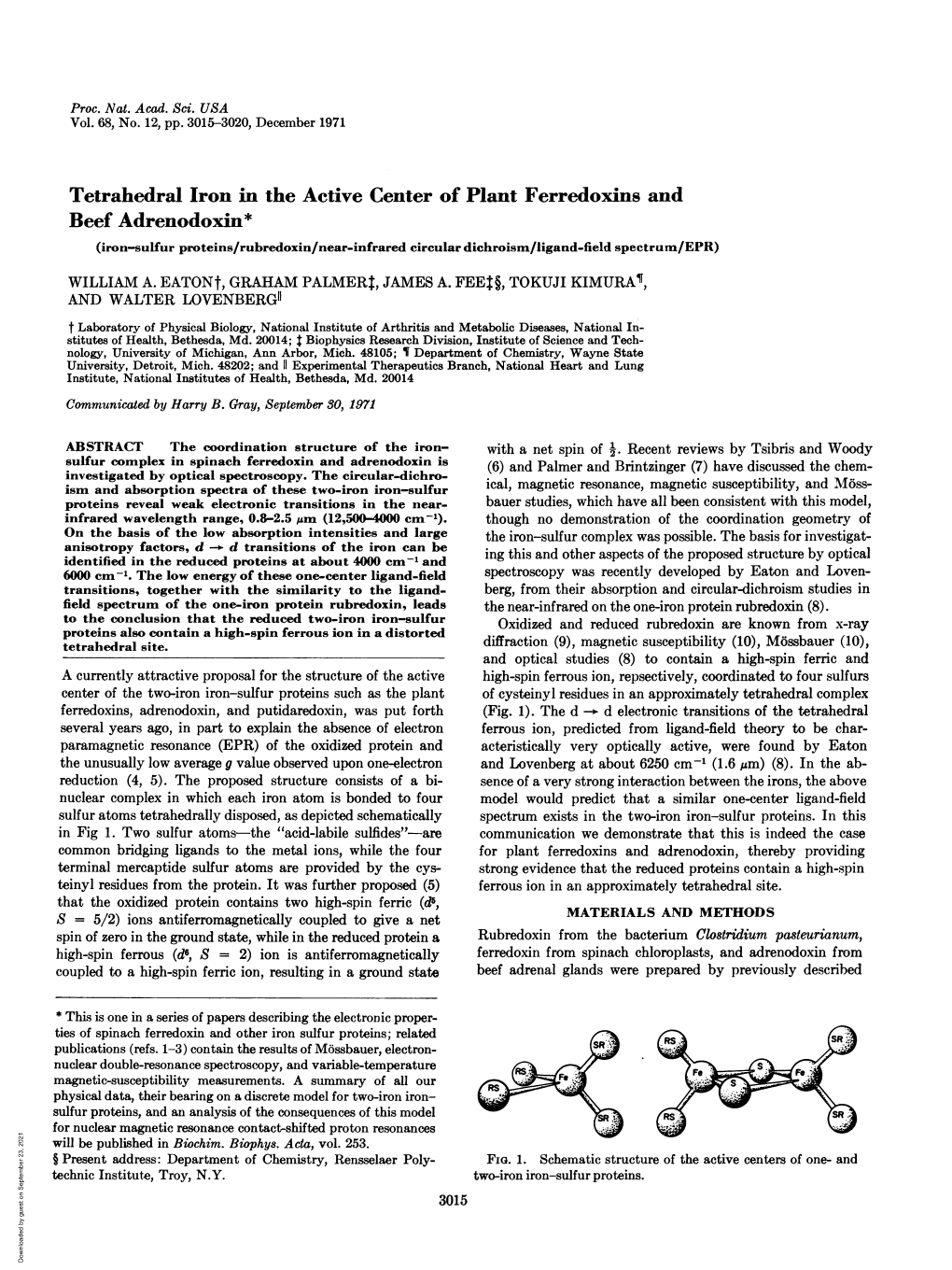 Tetrahedral Iron in the Active Center of Plant Ferredoxins And