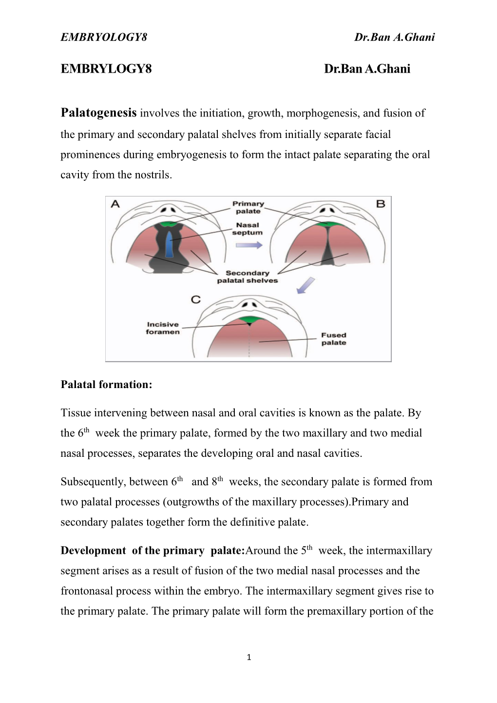 EMBRYLOGY8 Dr.Ban A.Ghani