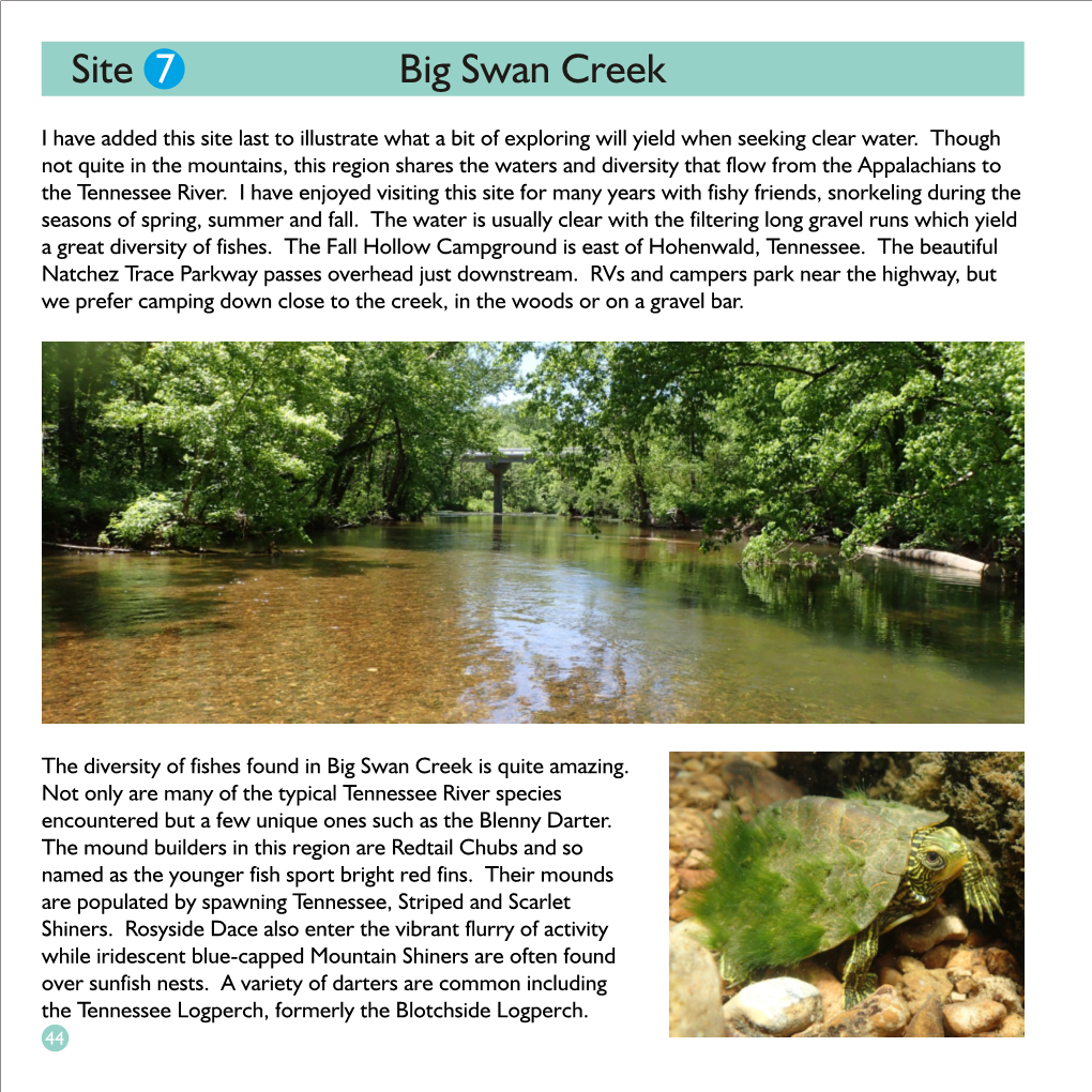 Big Swan Creek Site 7