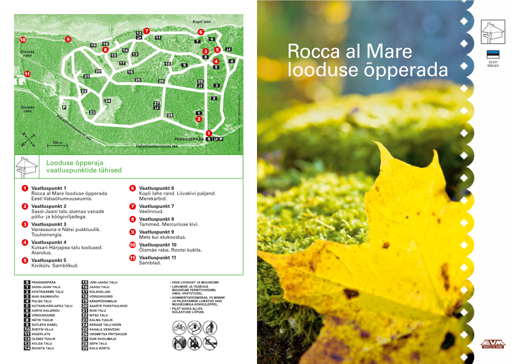 Rocca Al Mare Looduse Õpperada Kopli Lahe Rand