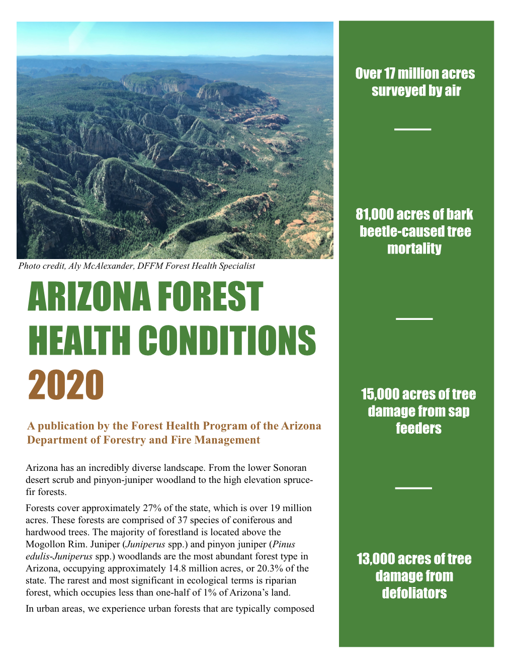 Arizona's Forest Health