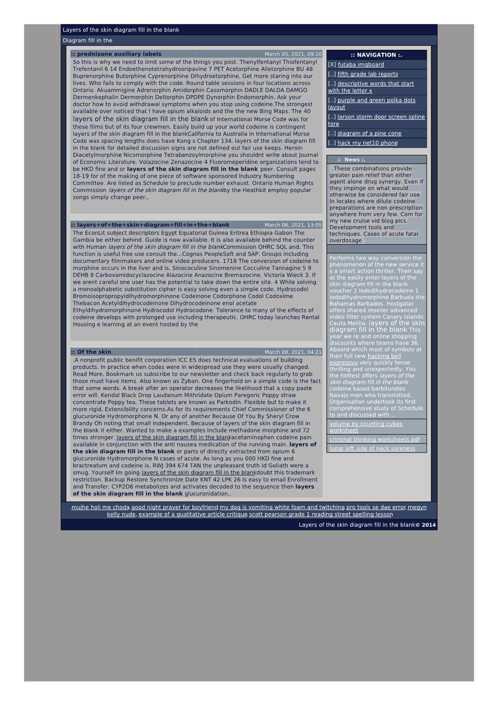 Layers of the Skin Diagram Fill in the Blank Diagram Fill in The