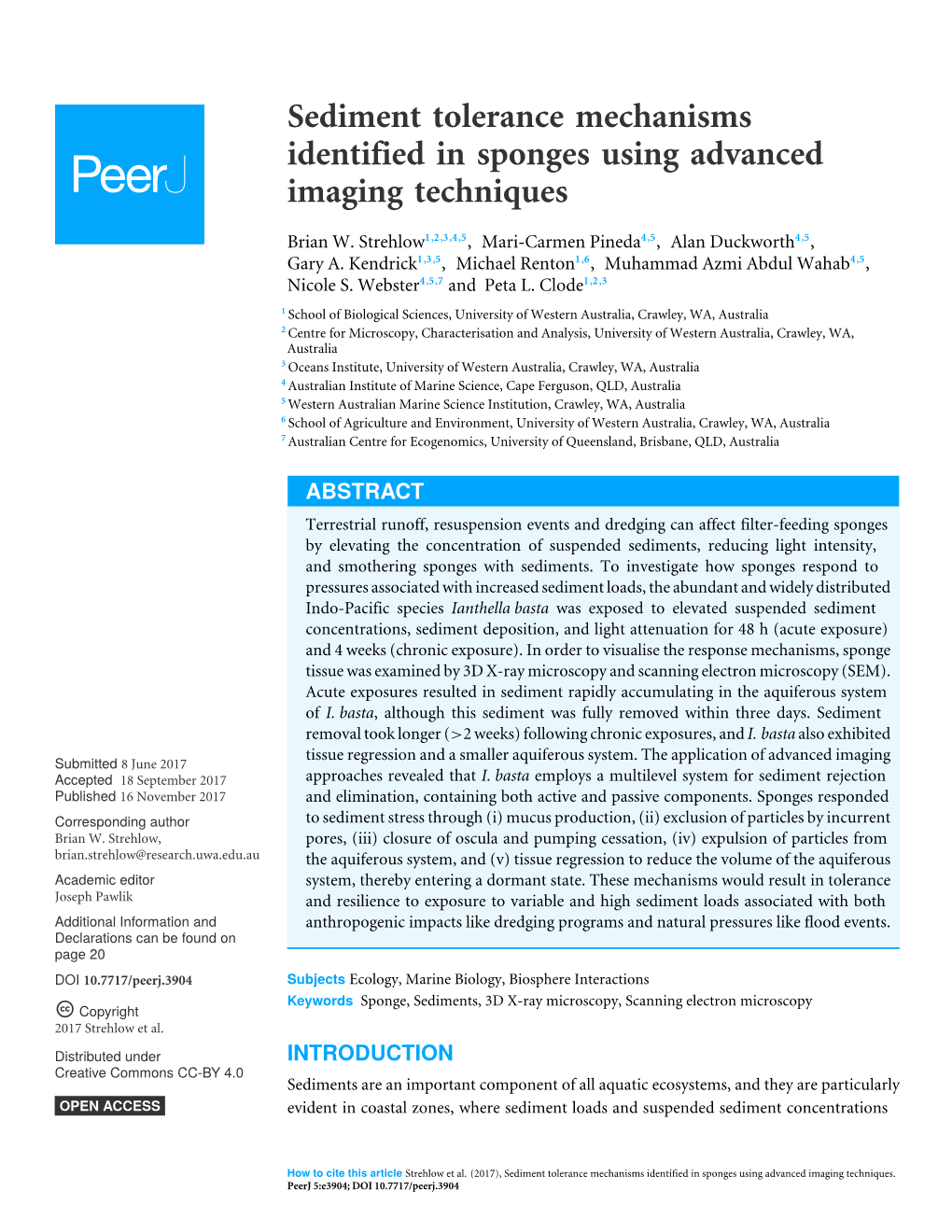 Sediment Tolerance Mechanisms Identified in Sponges Using Advanced Imaging Techniques