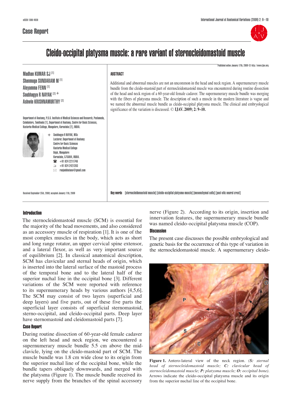 Cleido-Occipital Platysma Muscle: a Rare Variant of Sternocleidomastoid Muscle