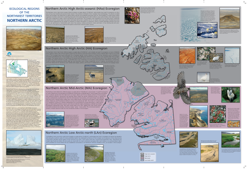 Northern Arctic High Arctic-Oceanic (Hao) Ecoregion Harshest Climates in the Northern Arctic