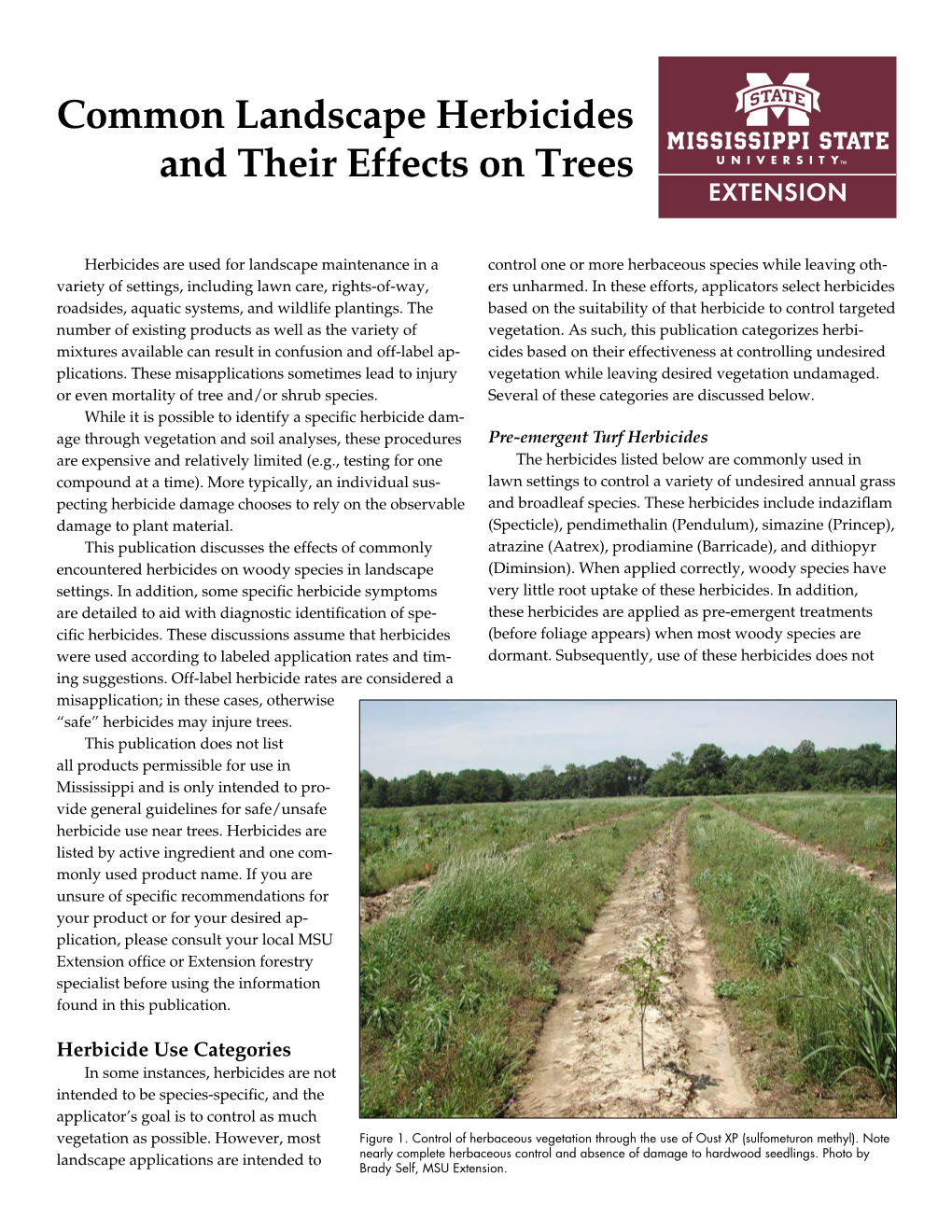 Common Landscape Herbicides and Their Effects on Trees