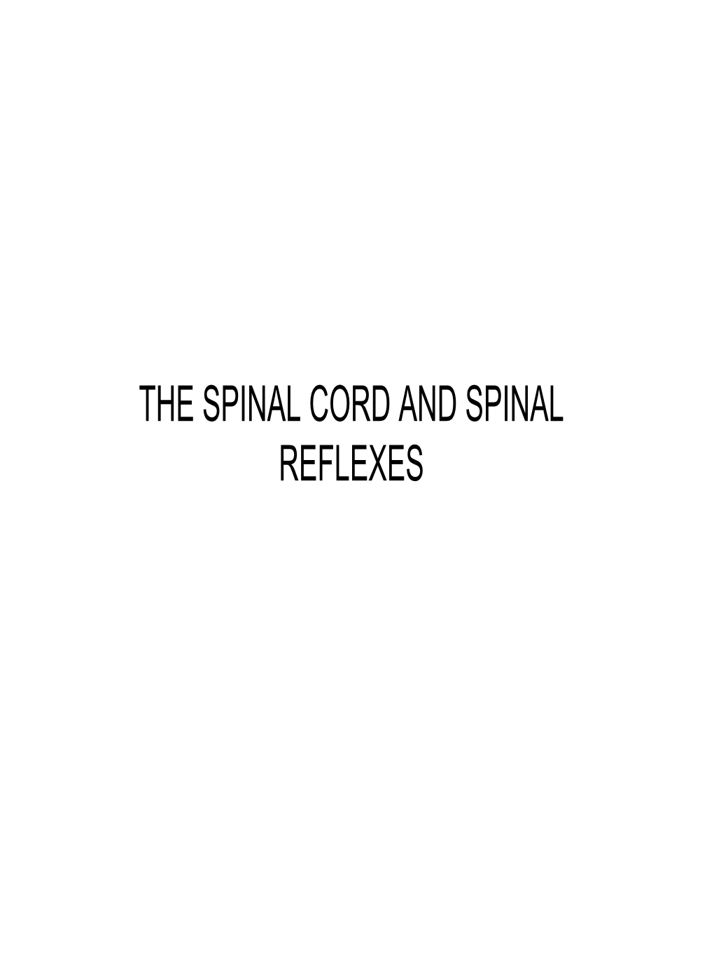 The Spinal Cord and Spinal Reflexes