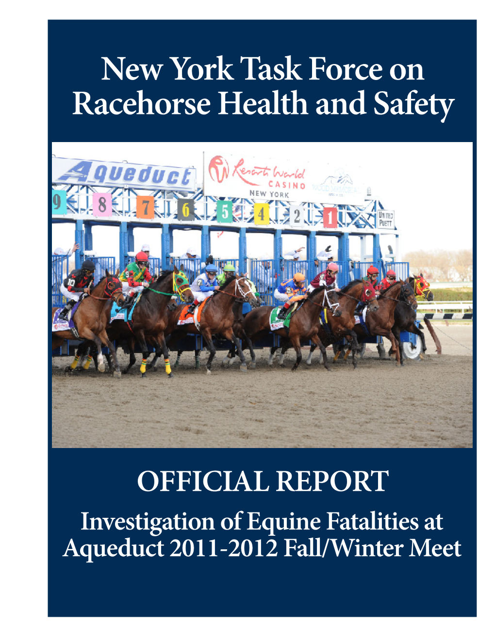 Task Force on Racehorse Health & Safety