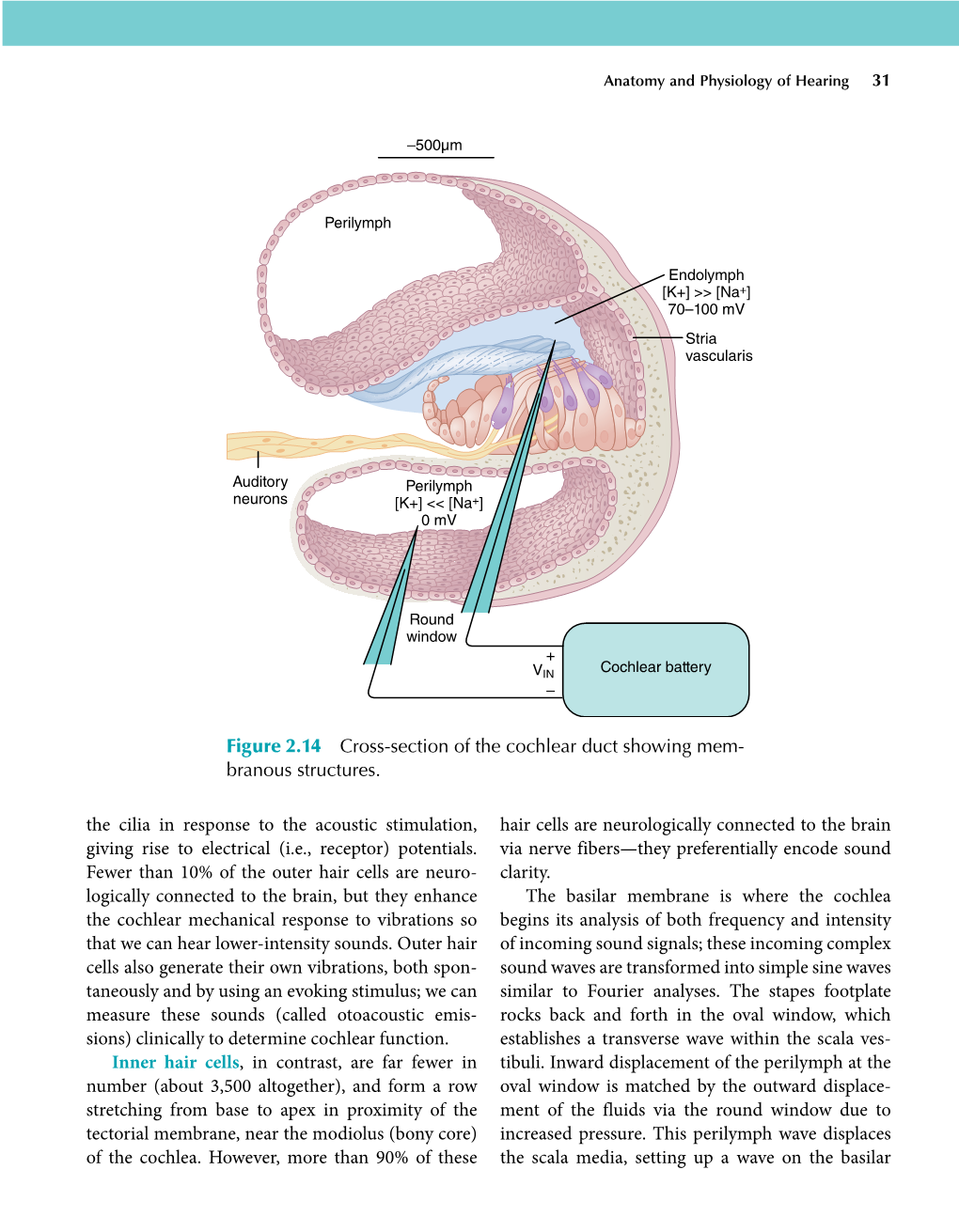 Hearing Loss: an Error to Medical And/Or Surgical Intervention to Correct the Problem