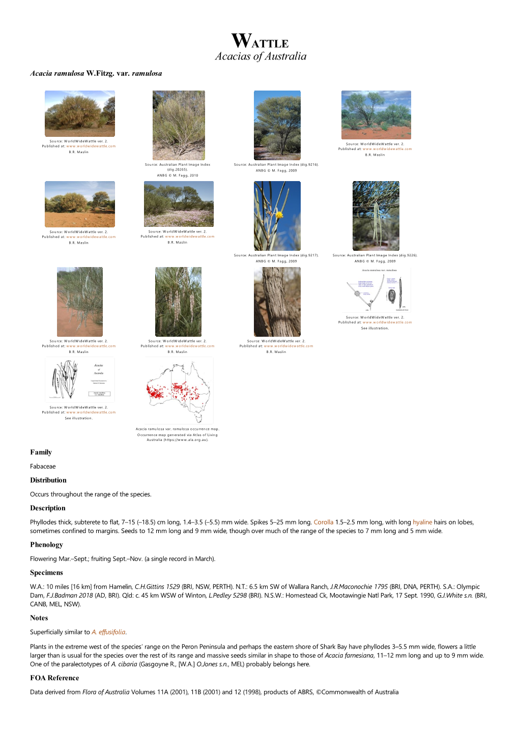 Acacia Ramulosa Var. Ramulosa Occurrence Map