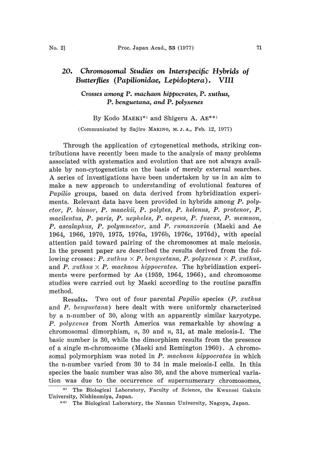 20. Chromosomal Studies on Interspeci Fcc Hybrids O F Butterflies