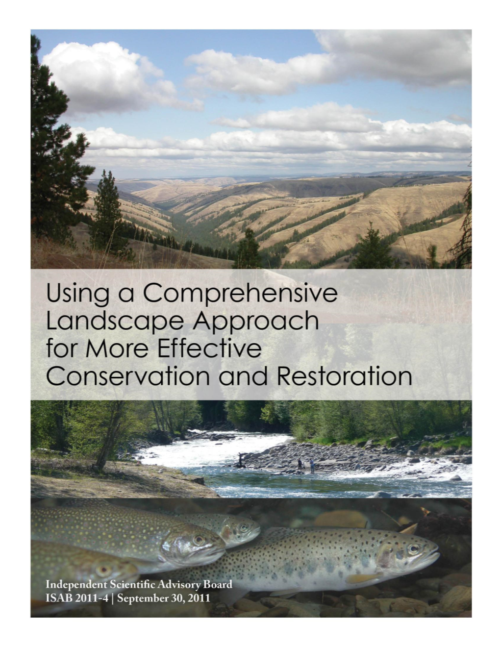 Landscape Report, Review of Strategies for Recovering Restoration and How These Relate to the Criteria
