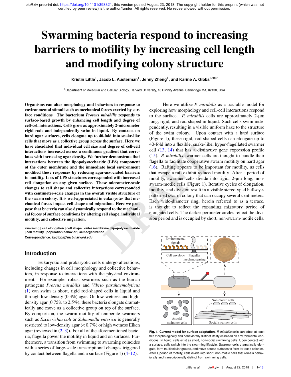 Swarming Bacteria Respond to Increasing Barriers to Motility by Increasing Cell Length and Modifying Colony Structure