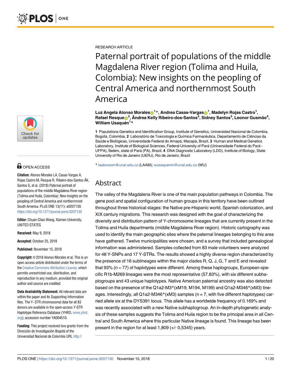 Paternal Portrait of Populations of the Middle Magdalena River Region