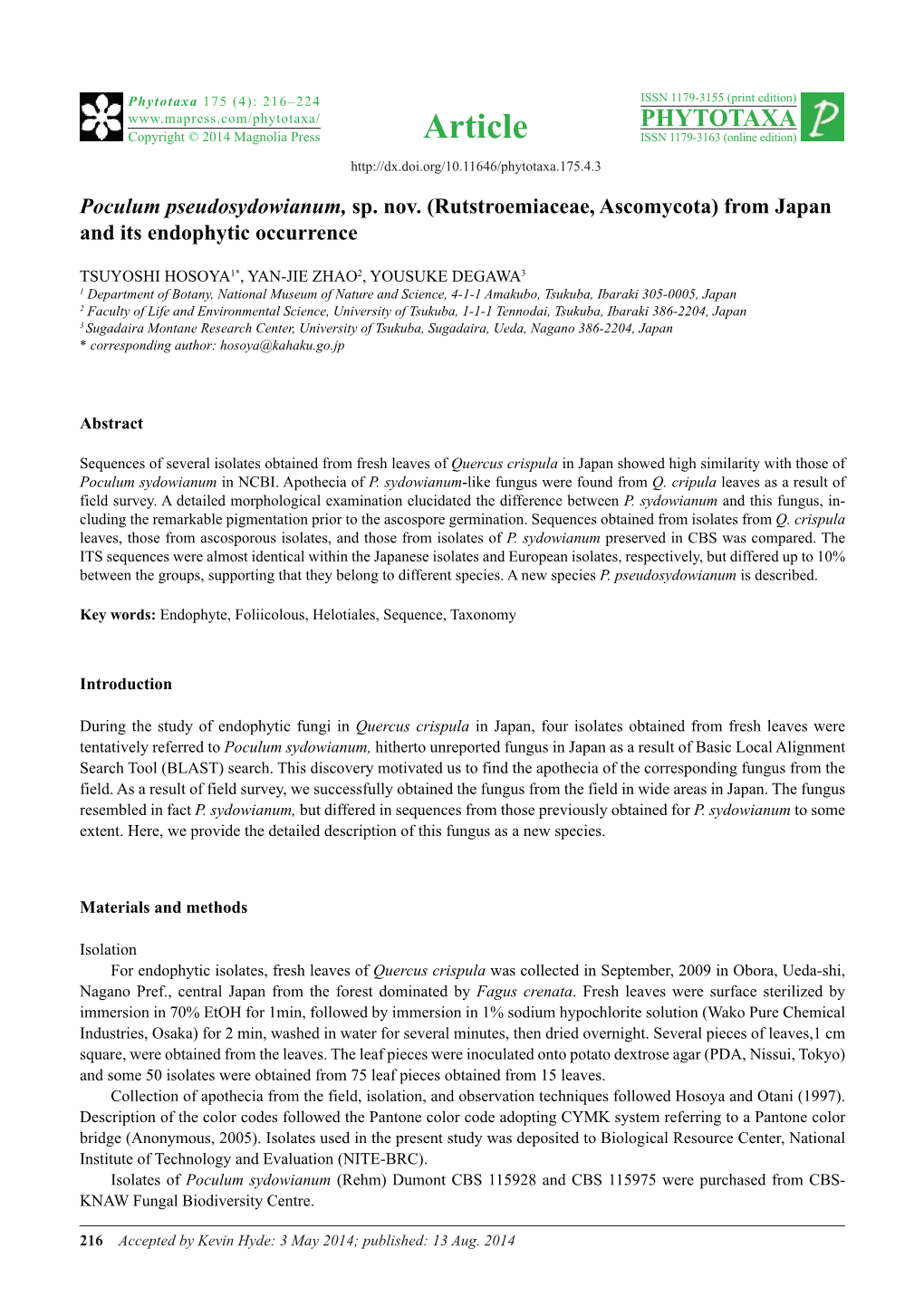 Poculum Pseudosydowianum, Sp. Nov. (Rutstroemiaceae, Ascomycota) from Japan and Its Endophytic Occurrence