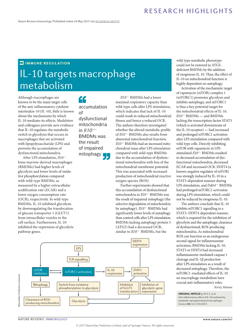 IL-10 Targets Macrophage Metabolism