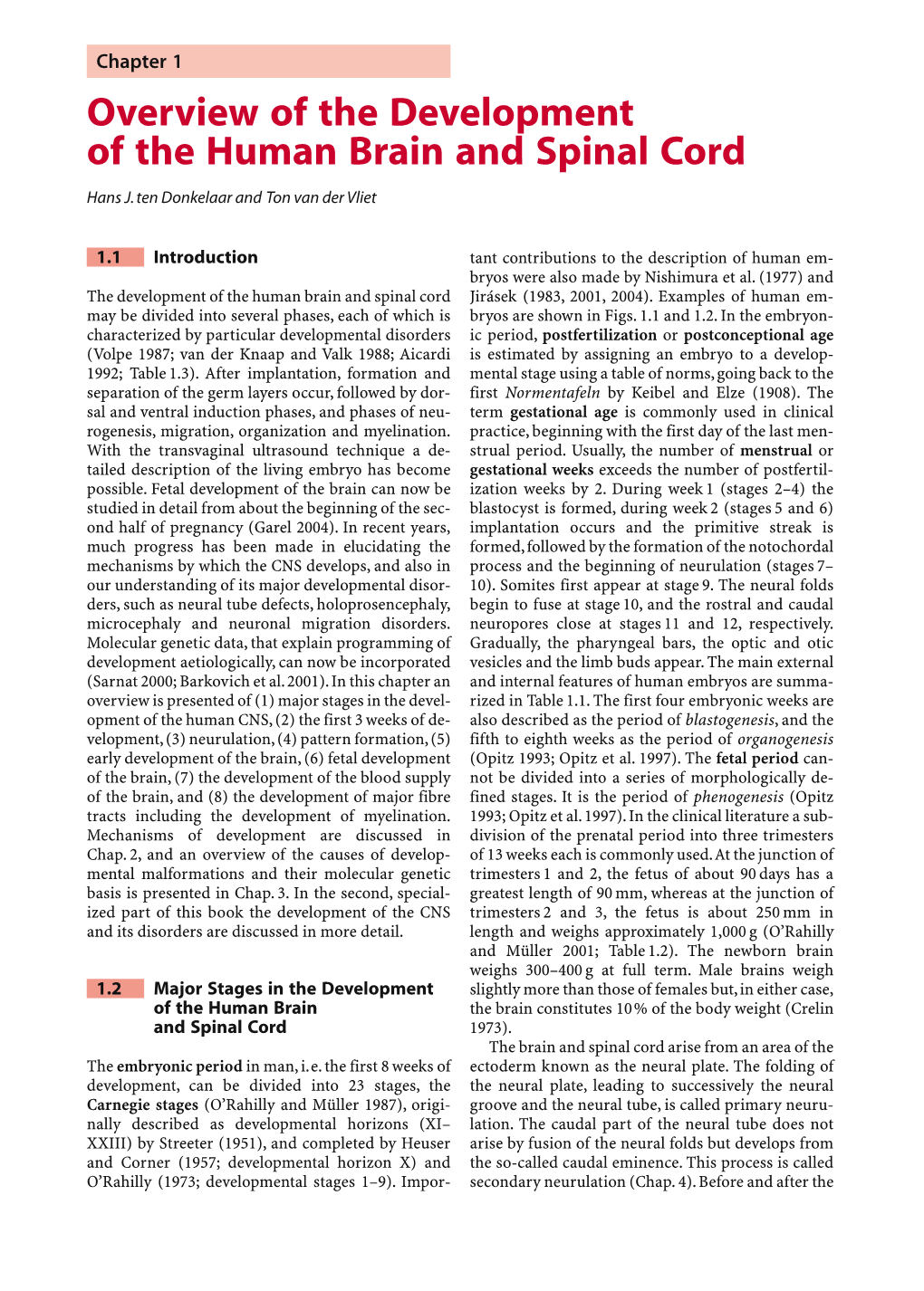 Overview of the Development of the Human Brain and Spinal Cord