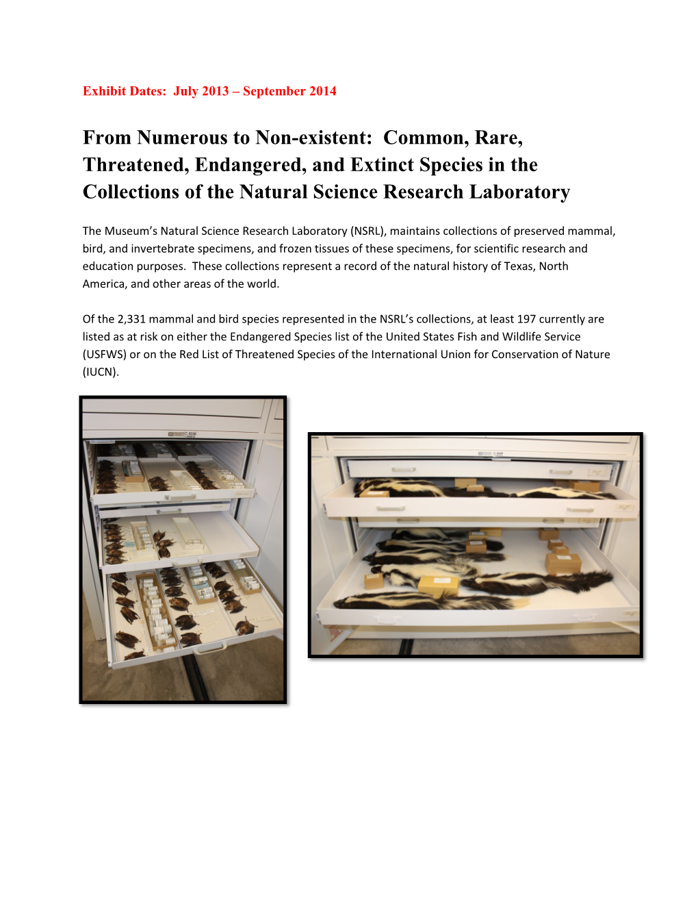 From Numerous to Non-Existent: Common, Rare, Threatened, Endangered, and Extinct Species in the Collections of the Natural Science Research Laboratory