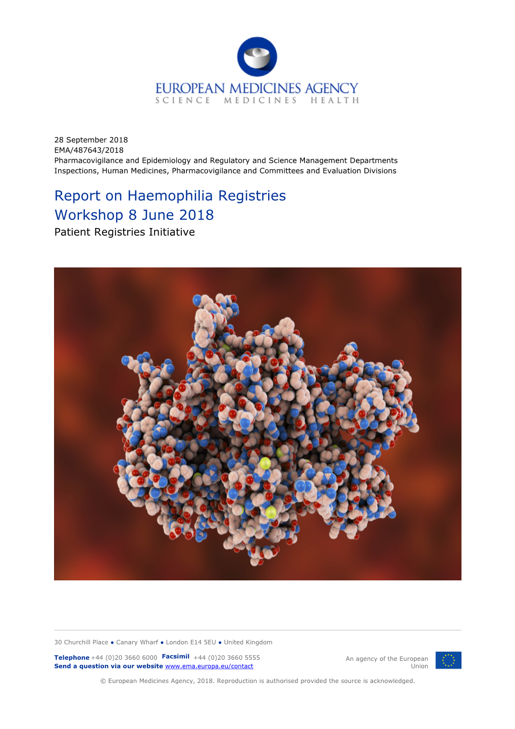 Report on Haemophilia Registries Workshop 8 June 2018 Patient Registries Initiative