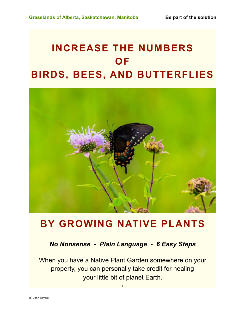 Increase the Numbers of Birds, Bees, and Butterflies
