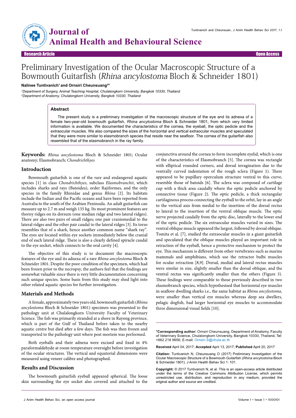 Preliminary Investigation of the Ocular Macroscopic Structure of A