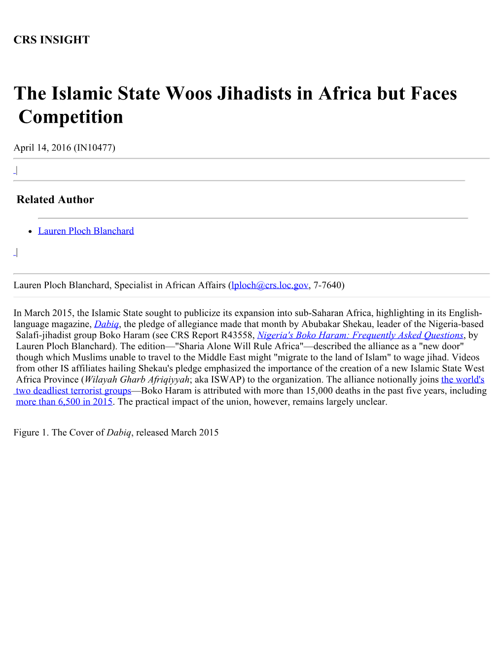 The Islamic State Woos Jihadists in Africa but Faces Competition
