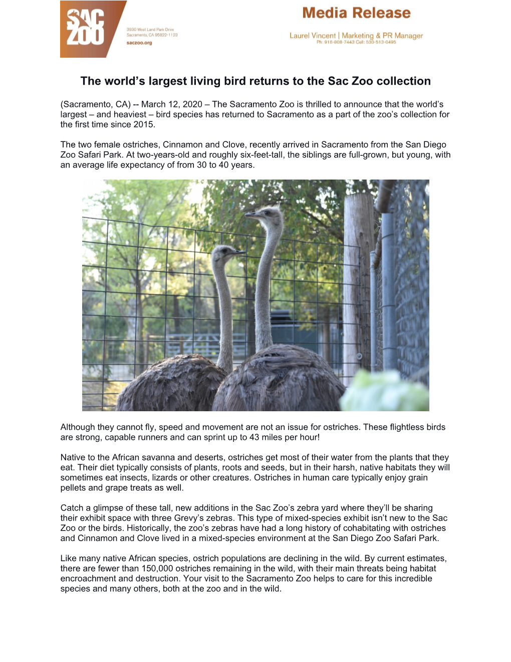 The World's Largest Living Bird Returns to the Sac Zoo Collection