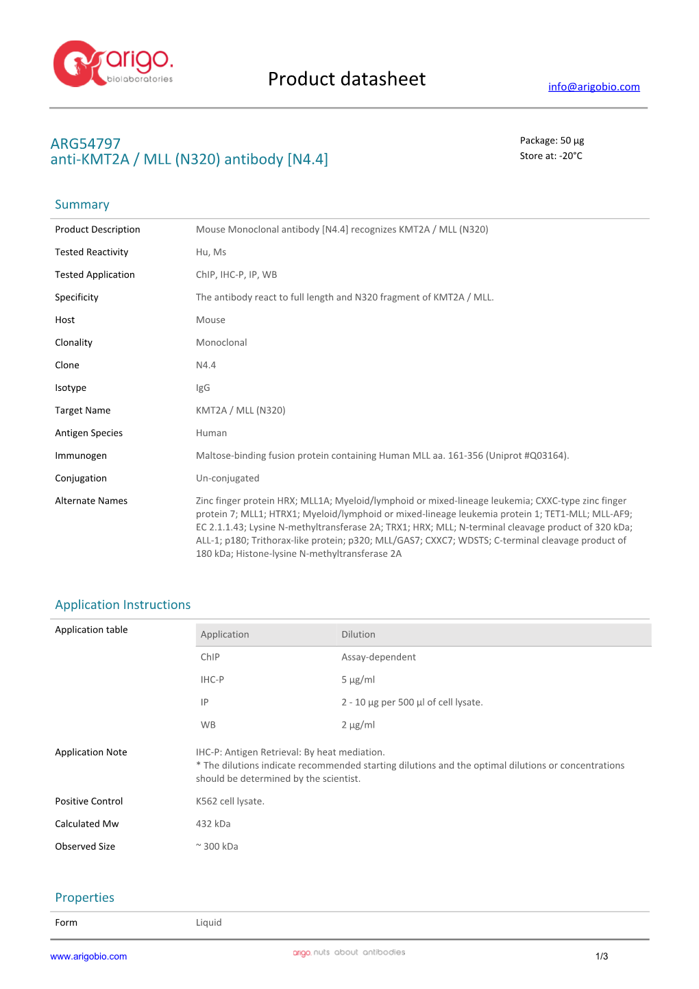 Anti-KMT2A / MLL (N320) Antibody [N4.4] (ARG54797)