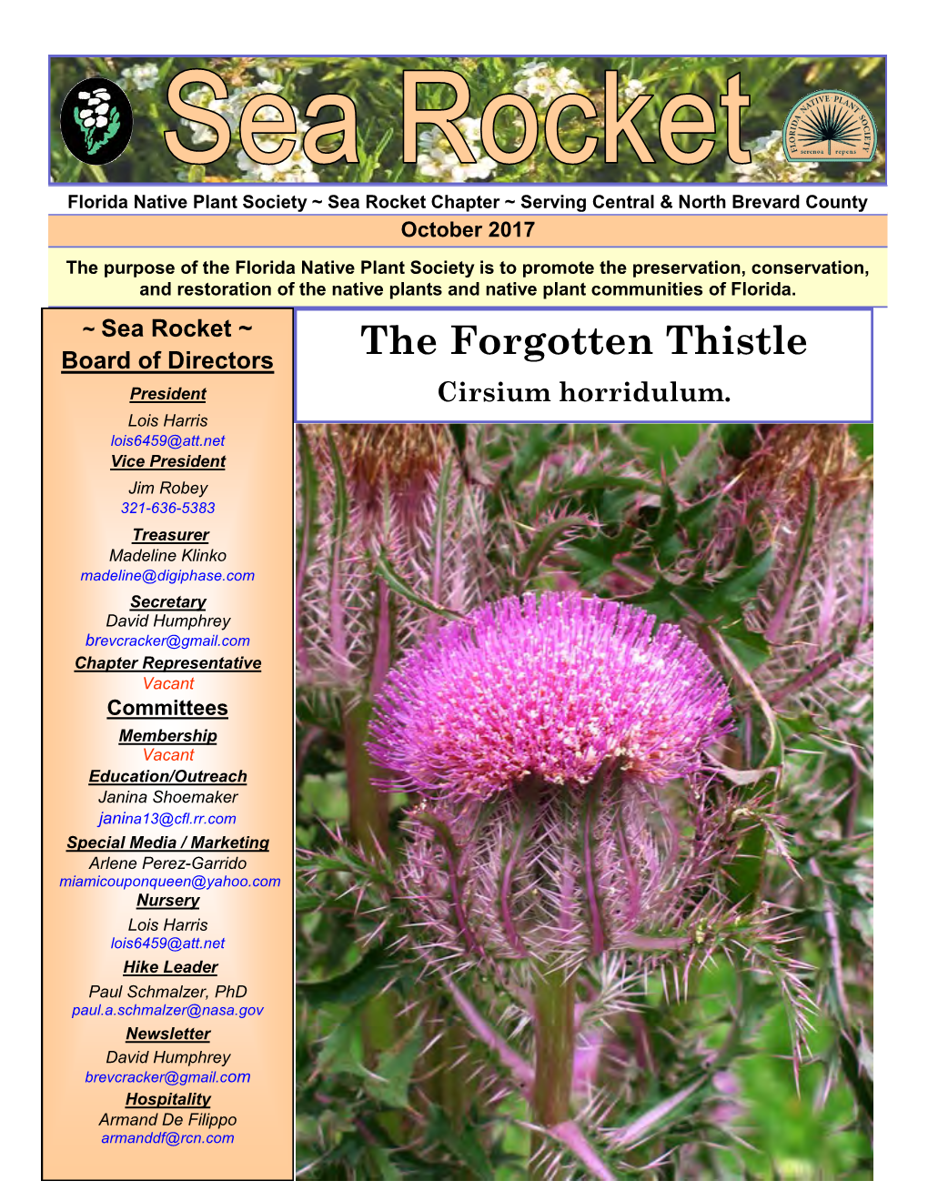 The Forgotten Thistle President Cirsium Horridulum