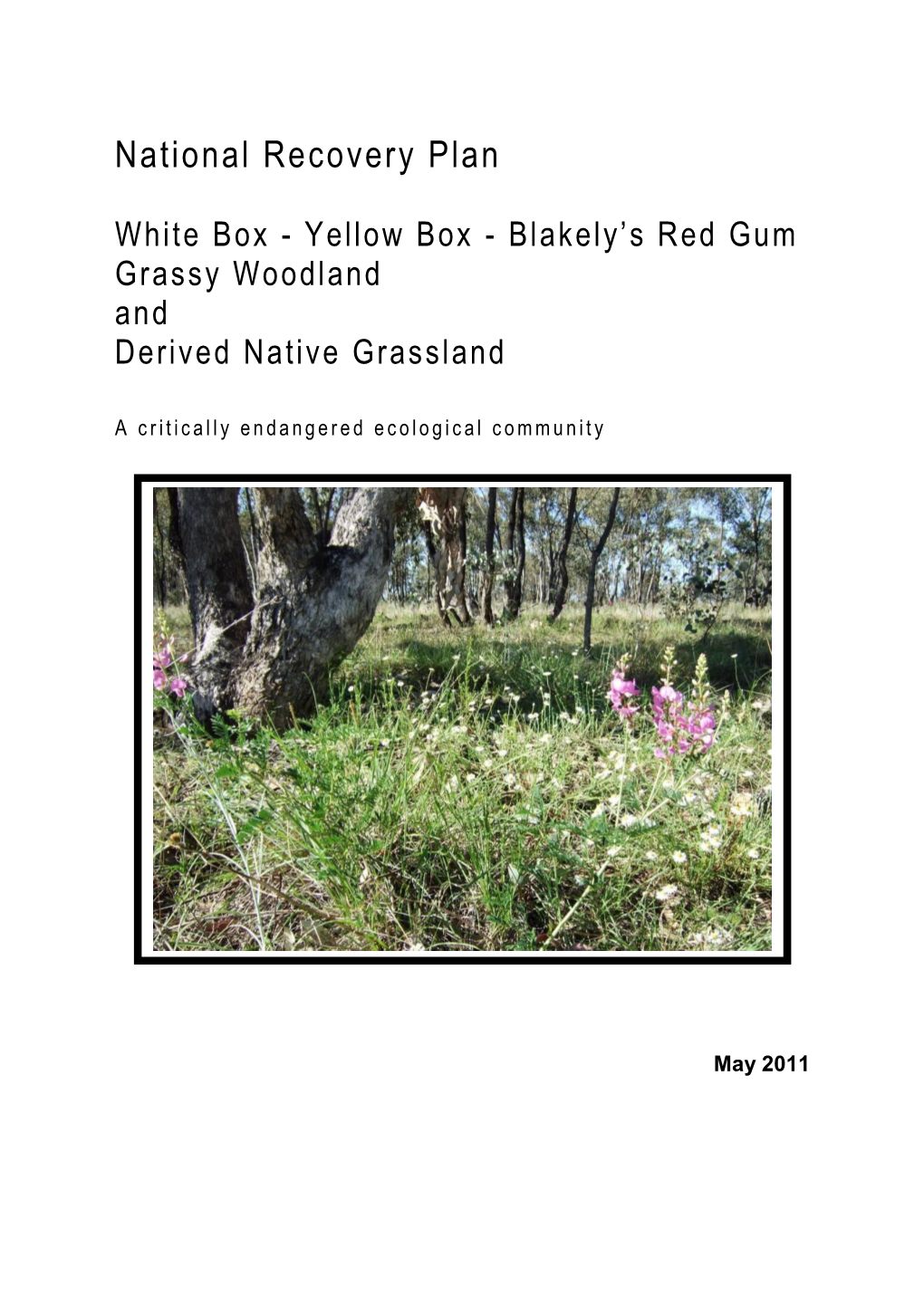 White Box-Yellow Box-Blakely's Red Gum Woodland