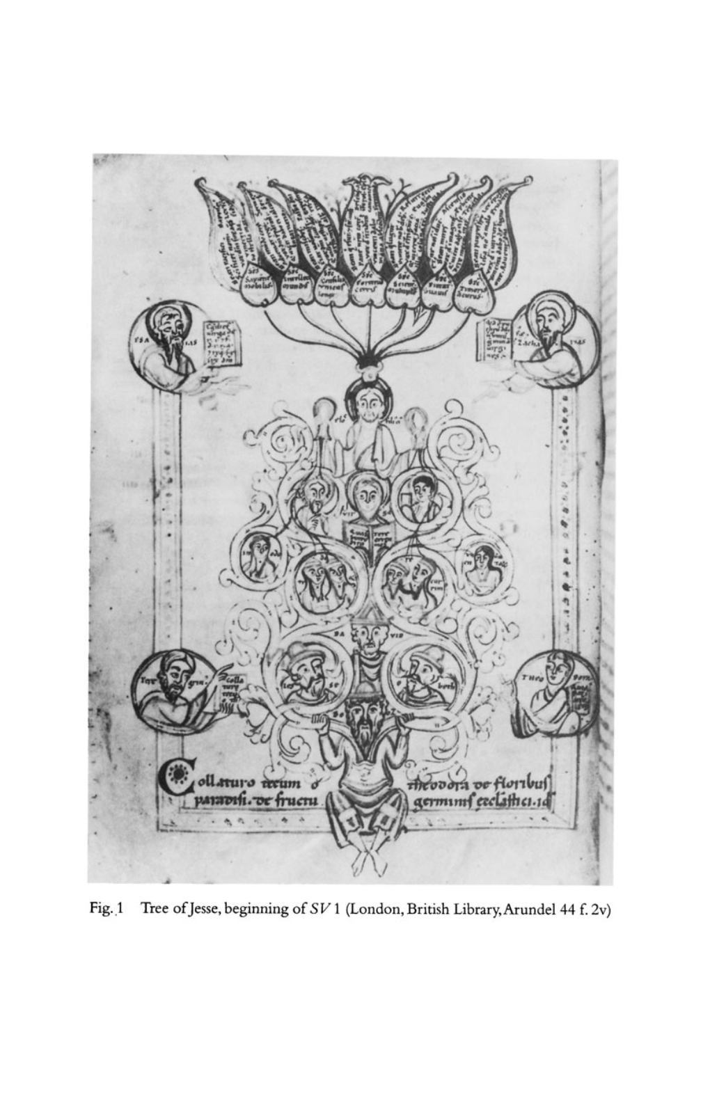 Fig .. 1 Tree of Jesse, Begin.Ning of SV 1 (London, British Library