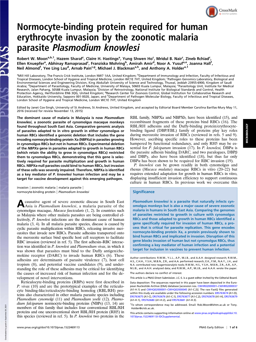 Normocyte-Binding Protein Required for Human Erythrocyte Invasion by the Zoonotic Malaria Parasite Plasmodium Knowlesi