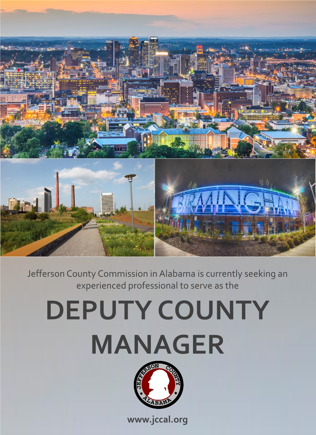 Deputy County Manager