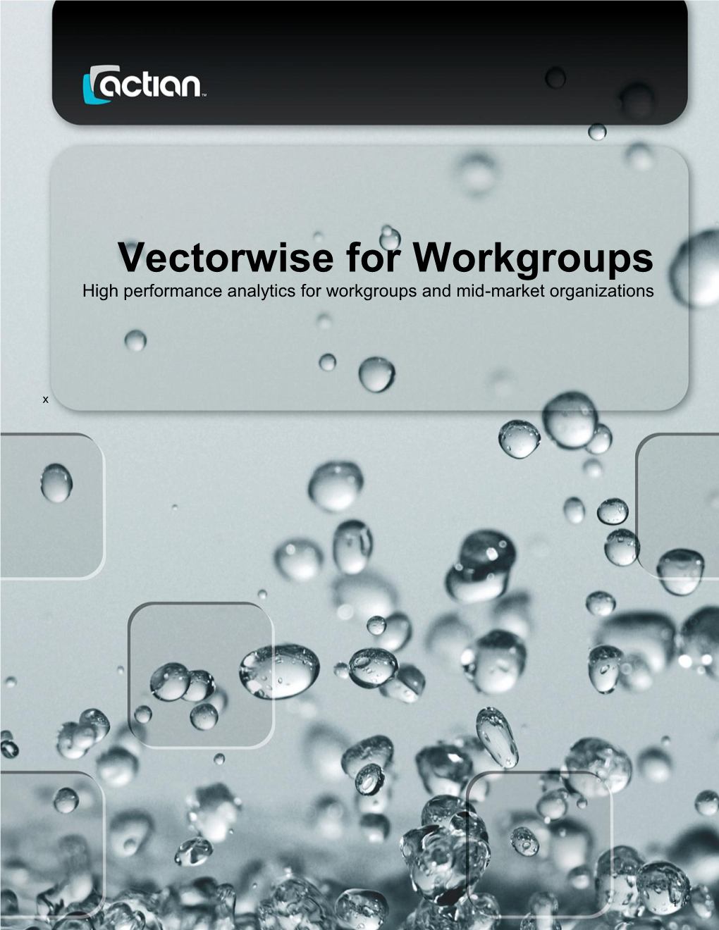 Vectorwise for Workgroups High Performance Analytics for Workgroups and Mid-Market Organizations