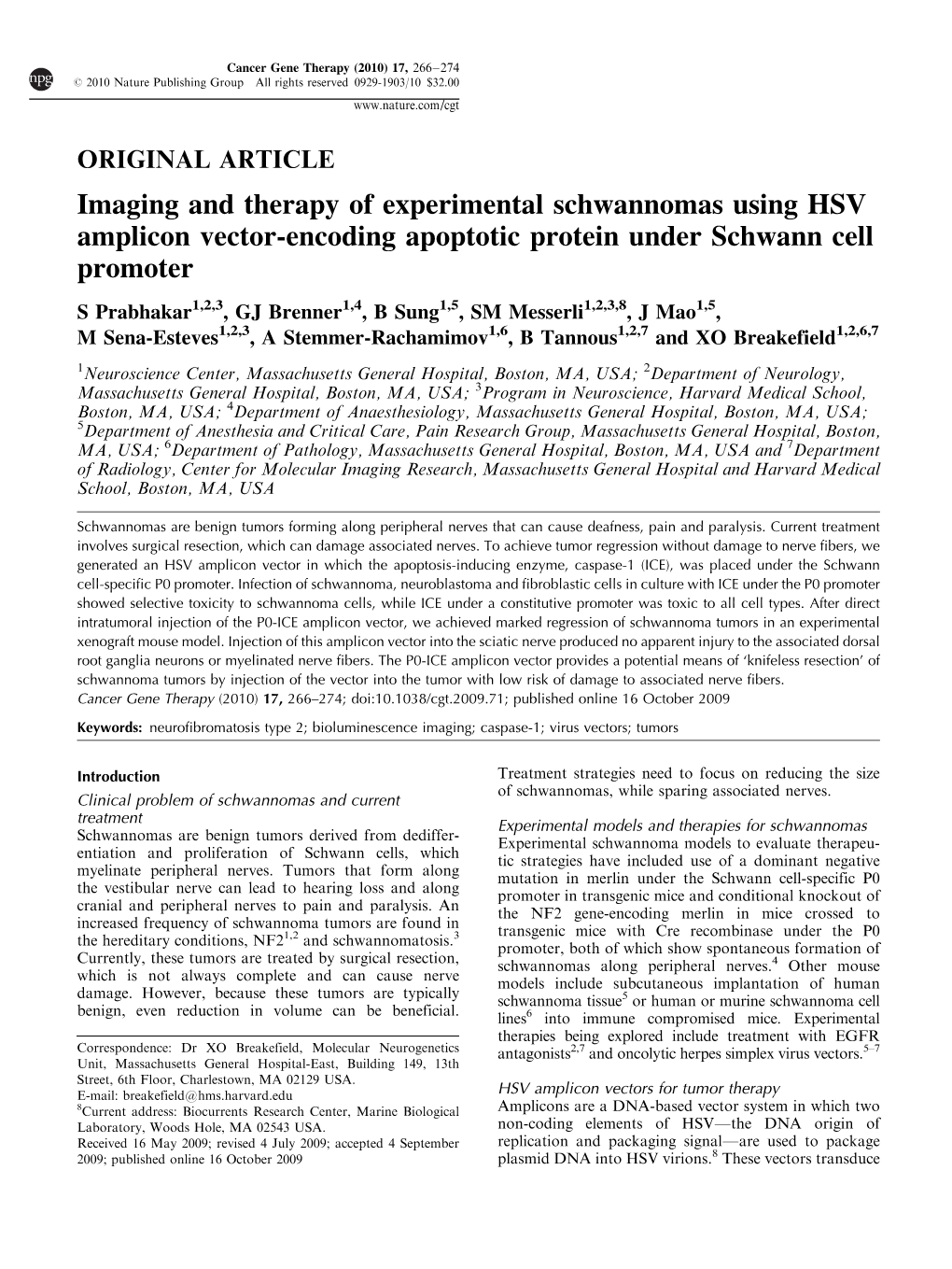 Imaging and Therapy of Experimental Schwannomas Using HSV Amplicon