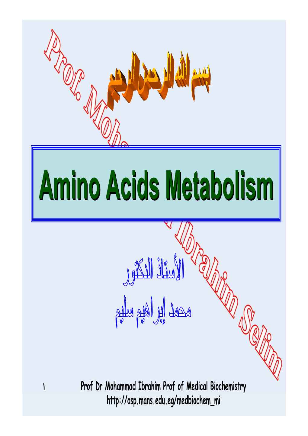 Amino Acids Metabolism