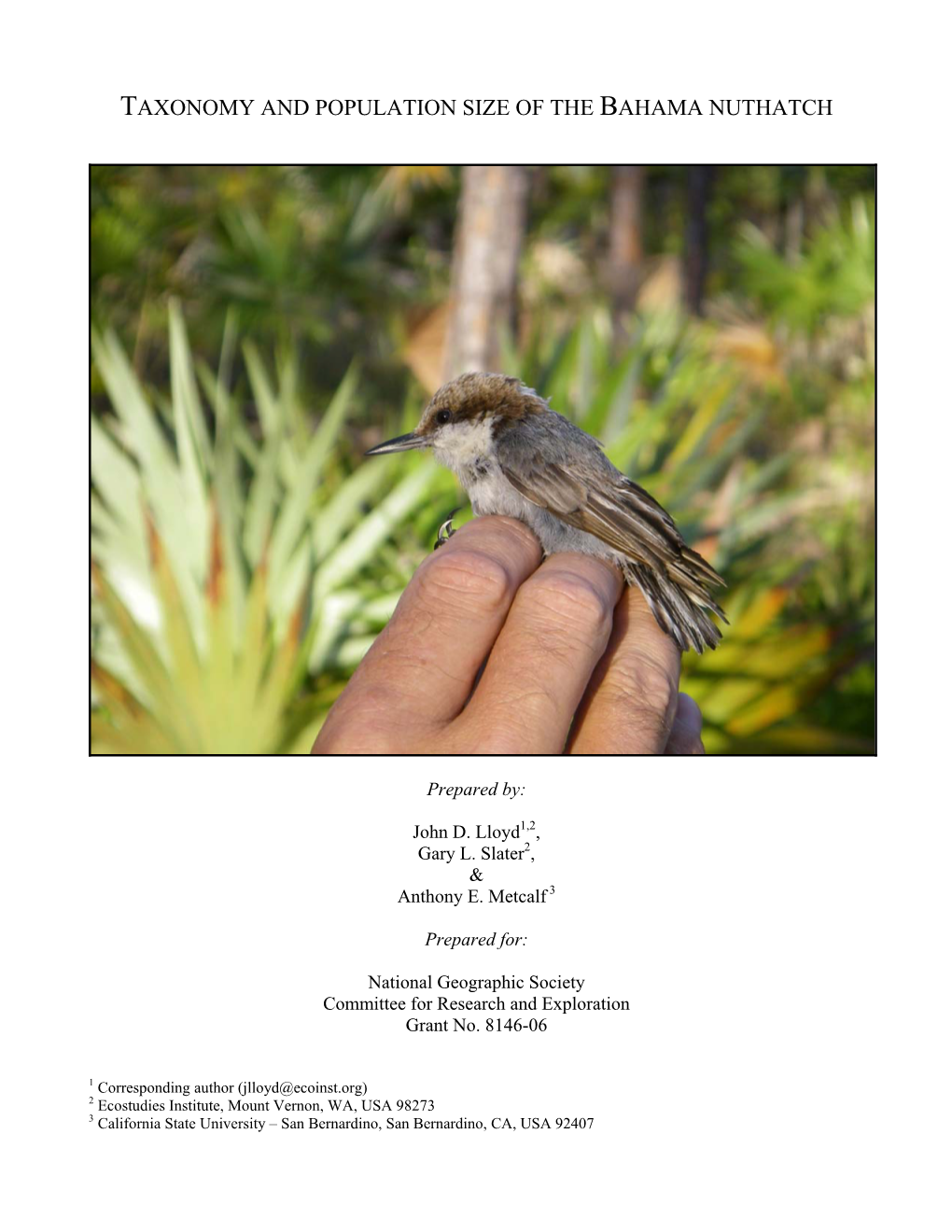 Taxonomy and Population Size of the Bahama Nuthatch