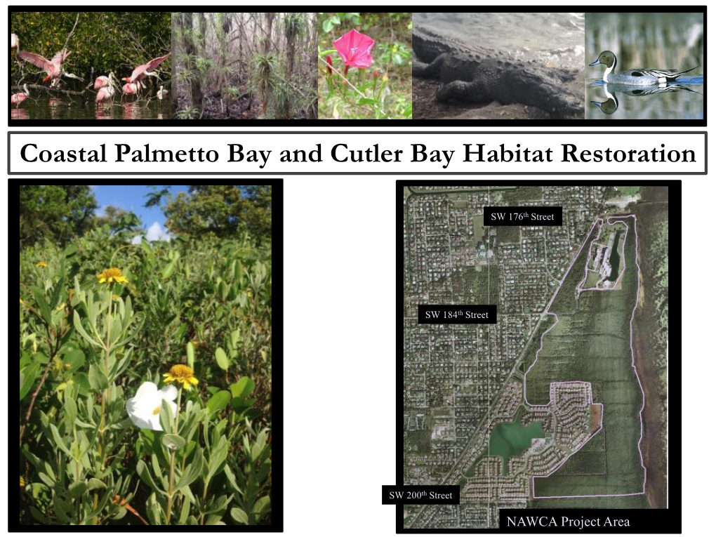 Coastal Palmetto Bay and Cutler Bay Habitat Restoration