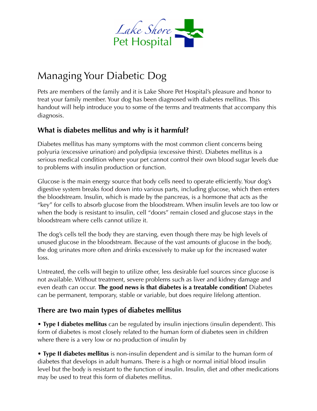 Diabetic Dog Handout
