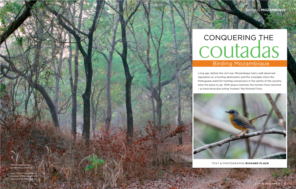 Conquering the Coutadas Birding Mozambique