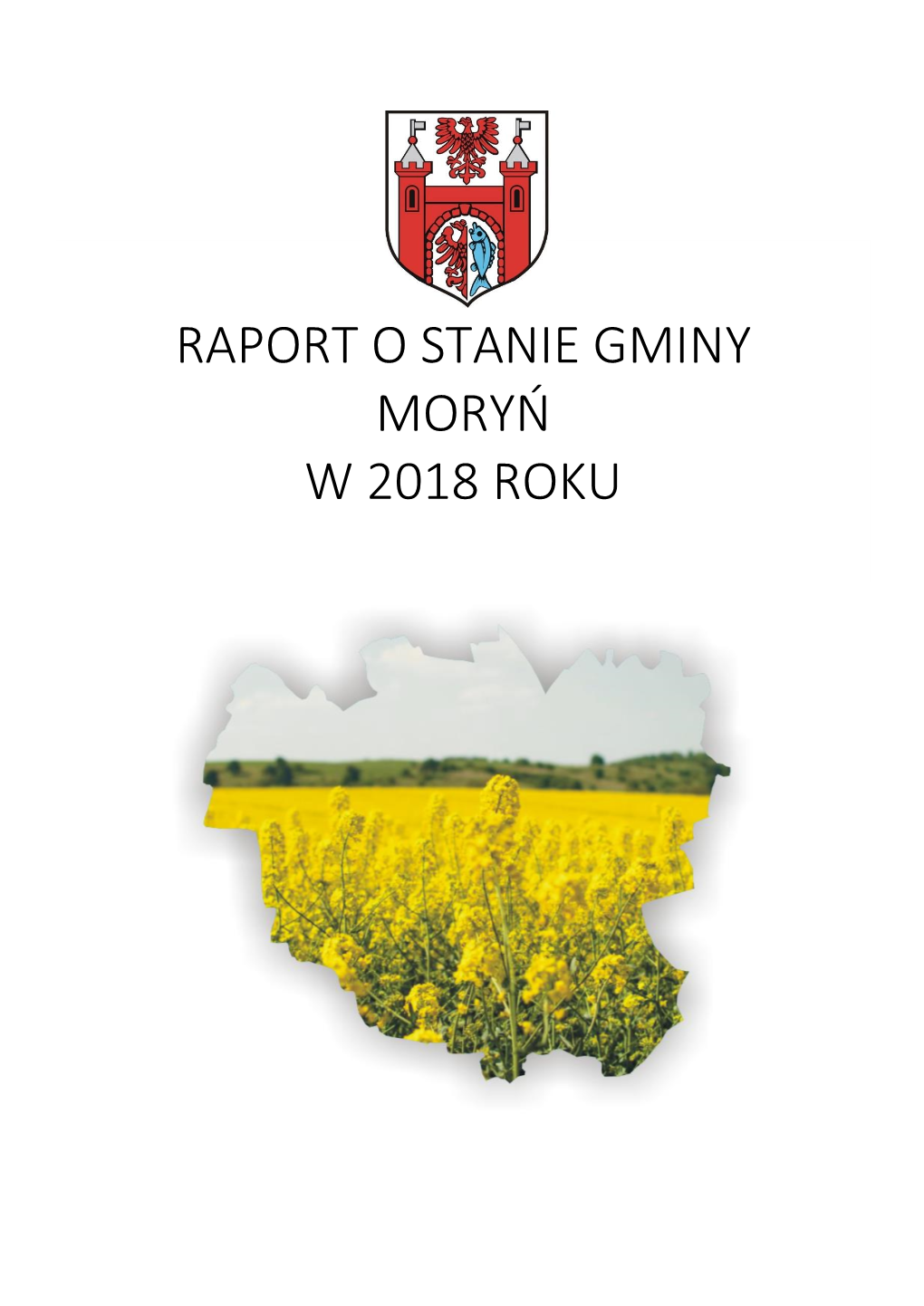 Raport O Stanie Gminy Moryń W 2018 Roku Spis Treści