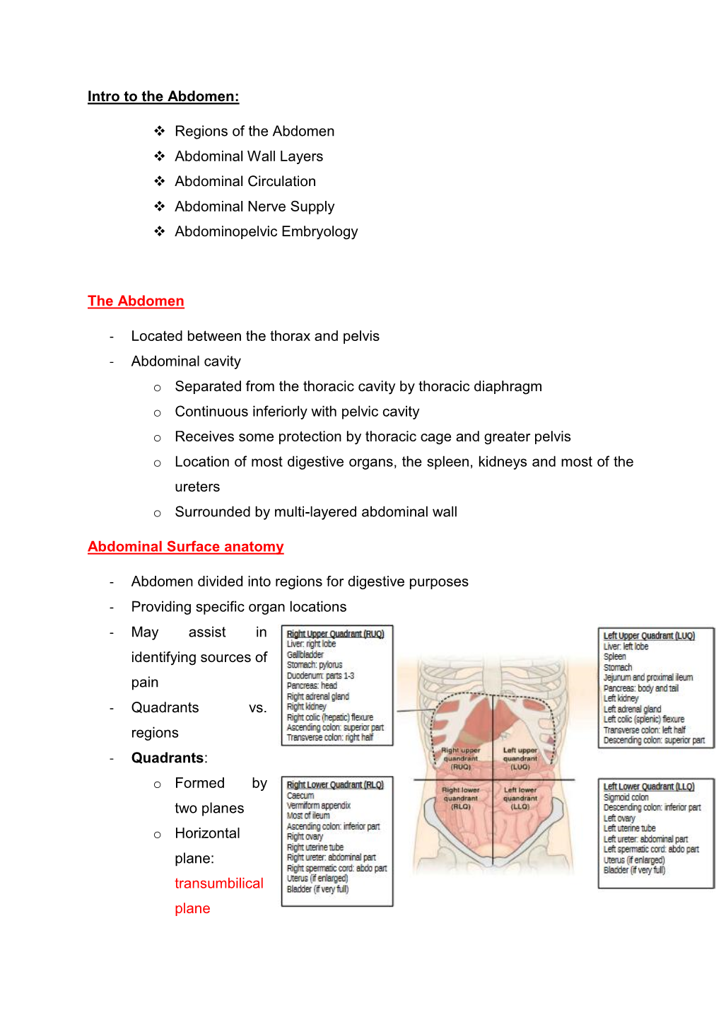 Intro to the Abdomen