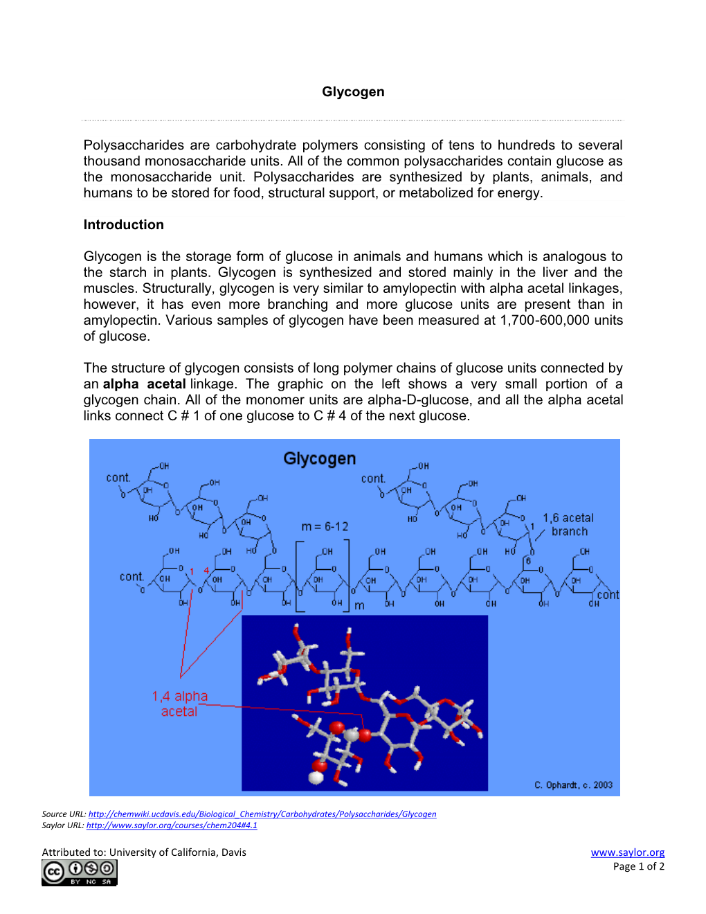 Glycogen Polysaccharides Are Carbohydrate Polymers Consisting