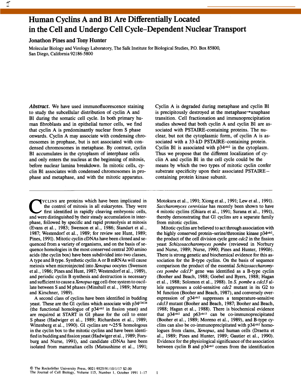 Human Cyclins a and Bl Are Differentially Located in the Cell